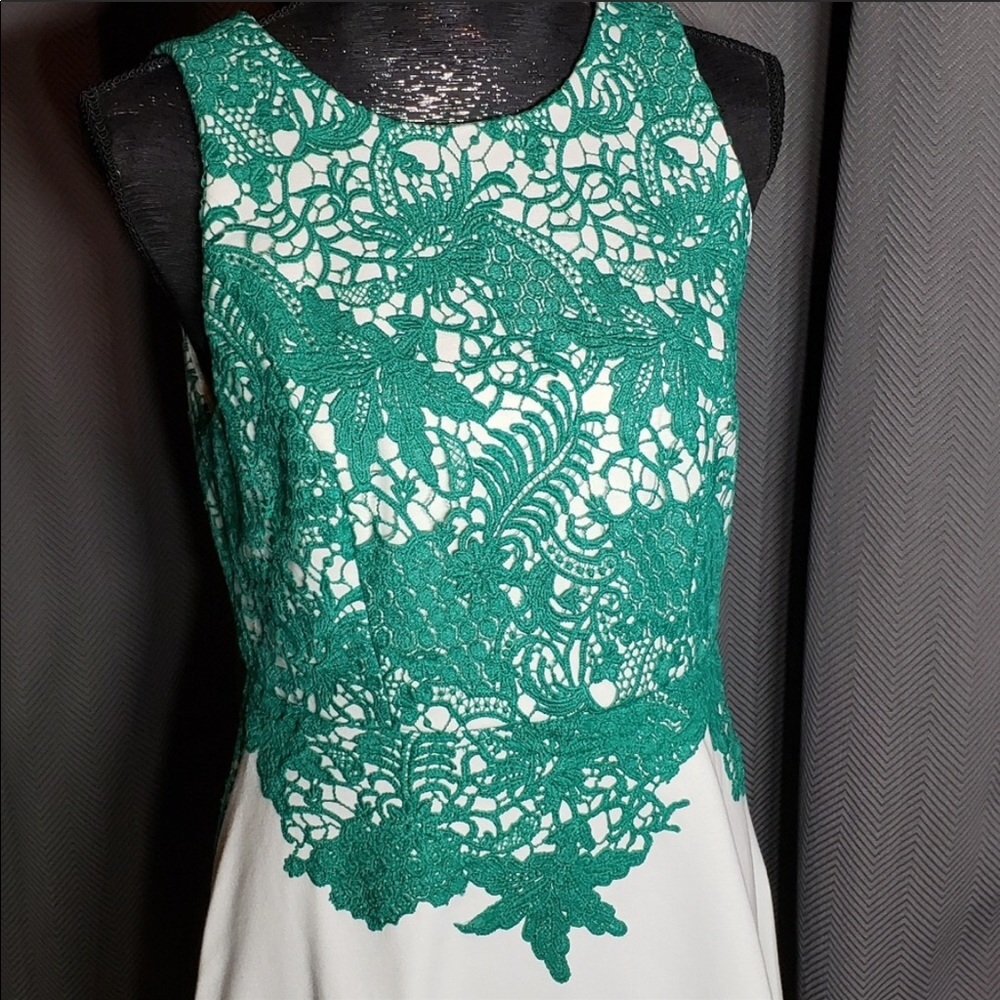 Anthropology Dress